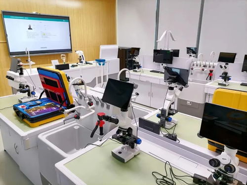 华发产业新空间巡礼丨中旭承科技 以计算机软硬件开发为翼，放飞智慧教育梦想，努力踏入上市路